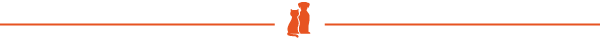 Bannière horizontale fine orange et grise avec une petite icône orange centrée sur fond blanc