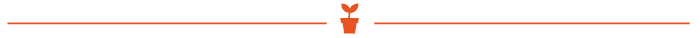Fine ligne décorative orange avec une petite icône en forme de losange/flèche orange centrée sur un fond blanc
