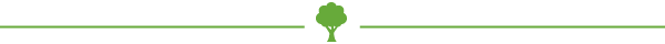 Une fine ligne verte avec une petite icône d'arbre vert centrée sur un fond blanc.