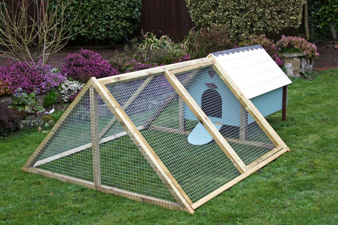 Enclos et niche pour animaux de compagnie en fil de fer à ossature bois, dans un jardin arrière gazonné.