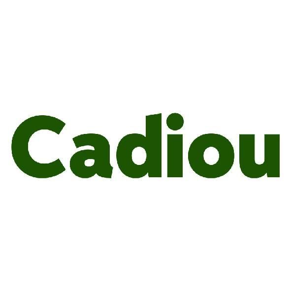 Logo de l'entreprise Cadiou