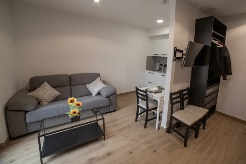 Interior de un pequeño apartamento con un sofá gris, una mesa y un mueble de almacenaje.