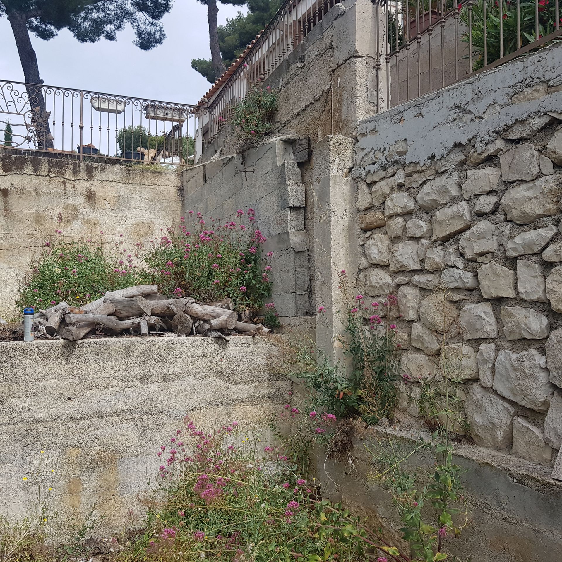 Murs de soutènement en pierre et en béton, agrémentés de végétation et de petites fleurs roses, dans un cadre extérieur.