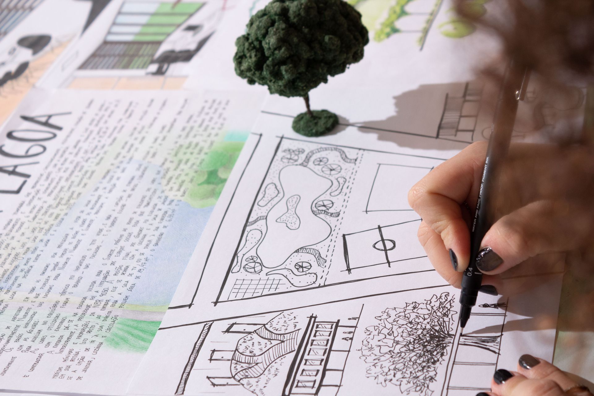 Une main dessine au stylo sur un plan de paysage. Une petite maquette d'arbre figure sur le plan.