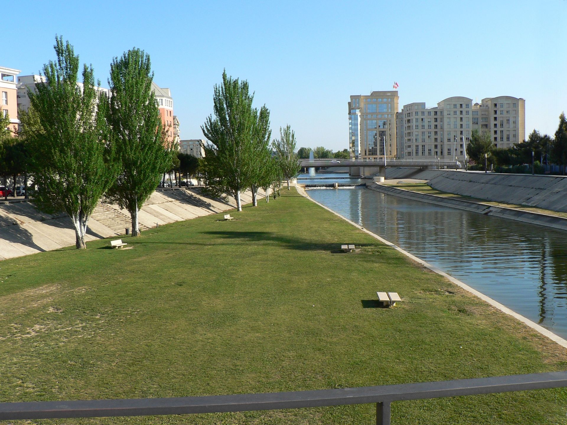Bord de rivière herbeux avec des arbres et des bâtiments modernes en arrière-plan. Belle journée ensoleillée.
