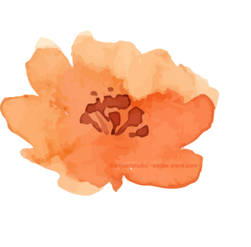 orange Blume, Aquarell