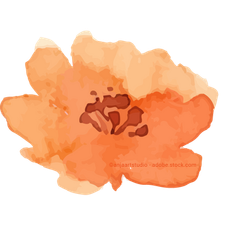 orange Blume, Aquarell