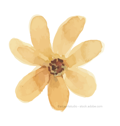 gelbe Blume, Aquarell gelbe Blume, Aquarell