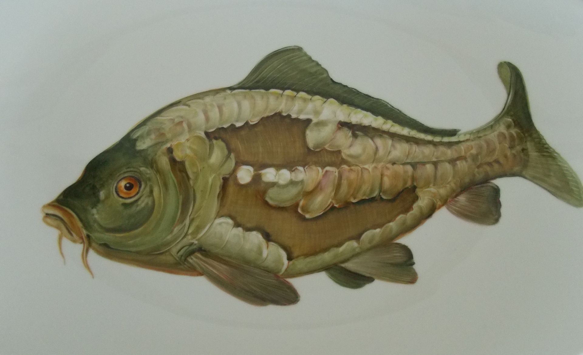 Porzellanmalerei, Motiv eines Karpfen