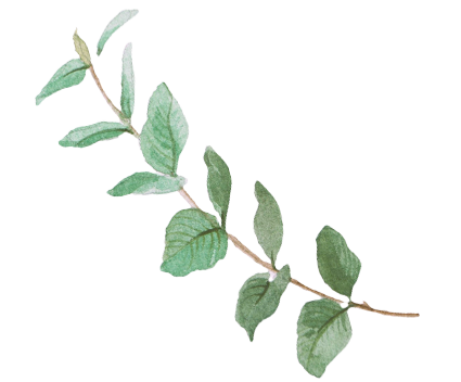 Blätterzweig gemalt mit Aquarellfarben