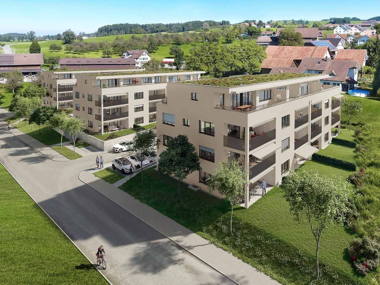 WILD Malerei AG | Wiezikon b. Sirnach