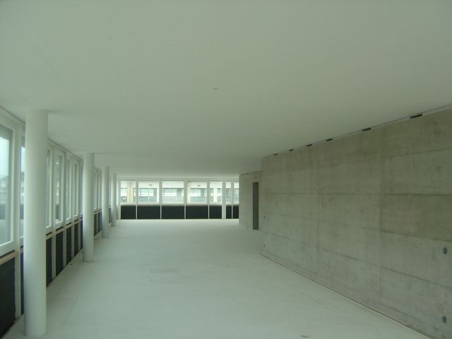 Neubau - WILD Malerei AG – Wiezikon b. Sirnach