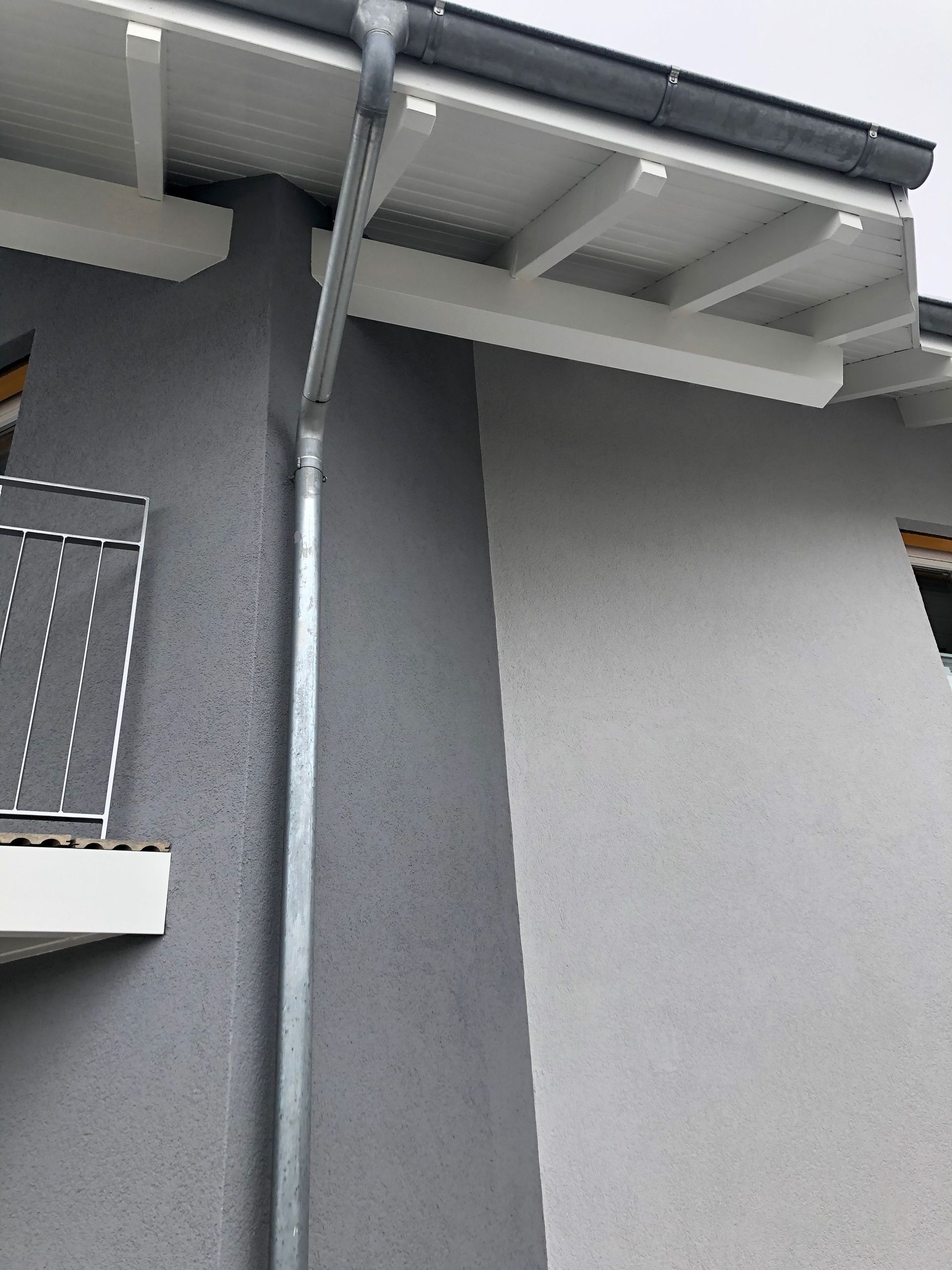 WILD Malerei AG | Wiezikon b. Sirnach