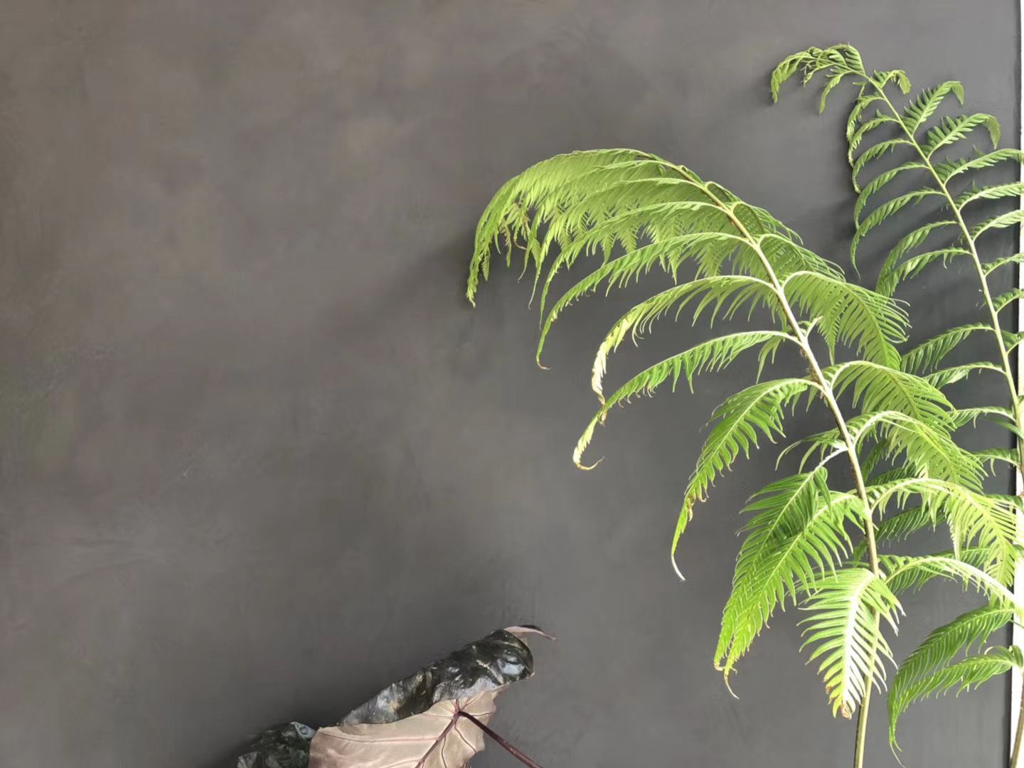 WILD Malerei AG | Wiezikon b. Sirnach