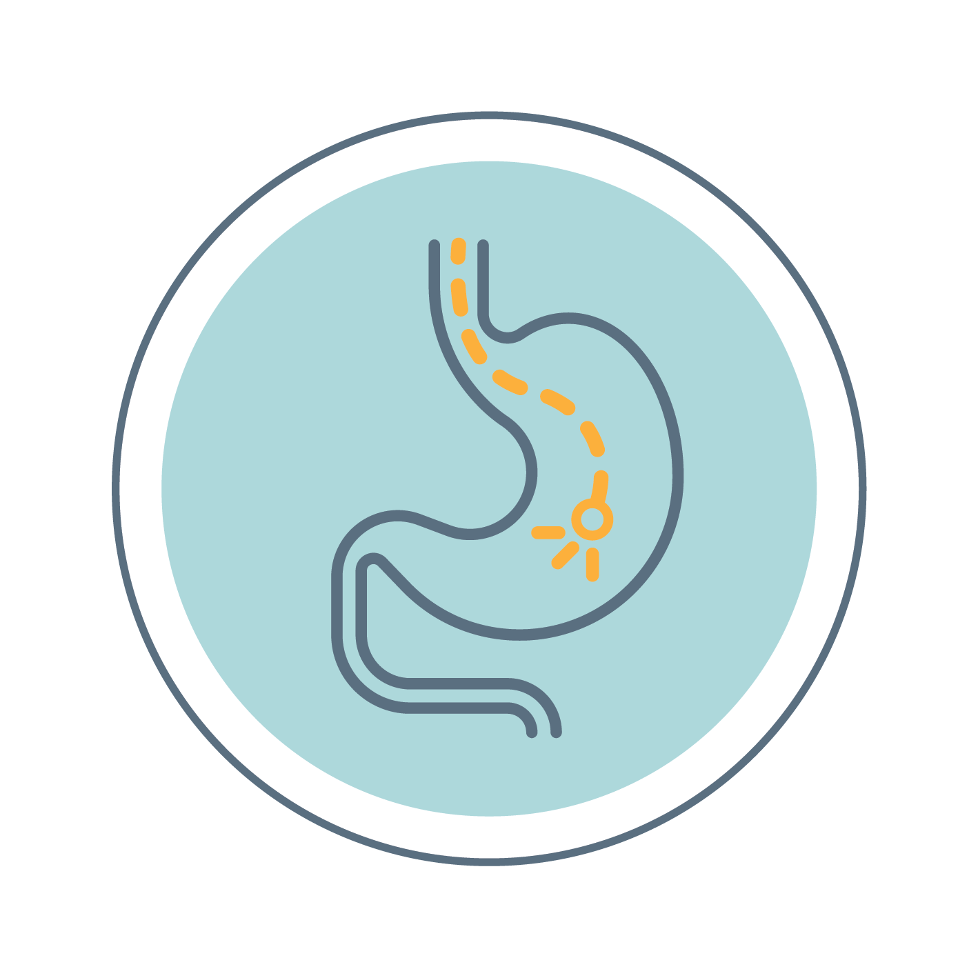 Clínica Veterinária São Miguel
