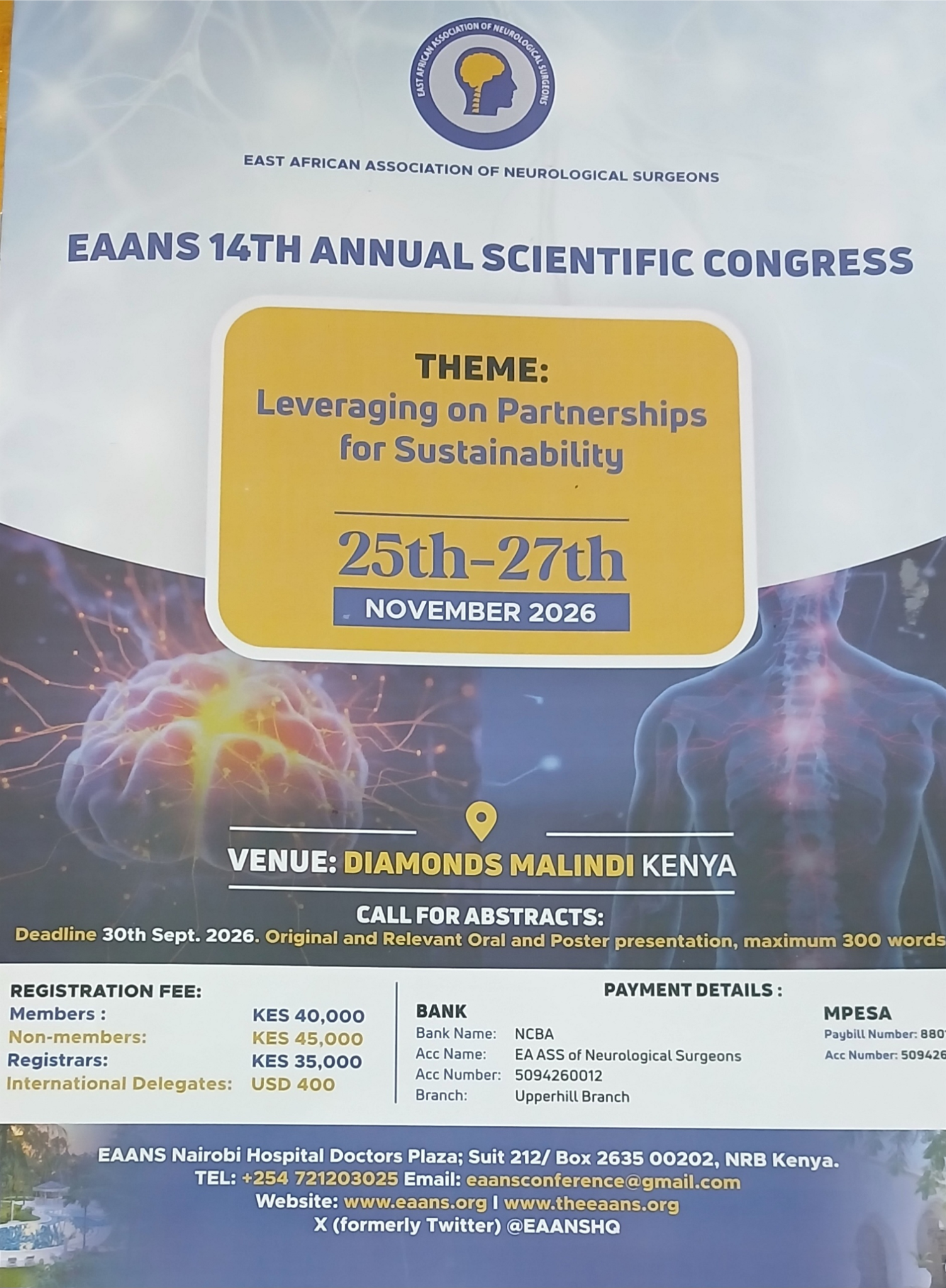 Poster for EAAAS 14th Annual Scientific Congress on sustainability, Nov 25–27, with lightning and blue-yellow design