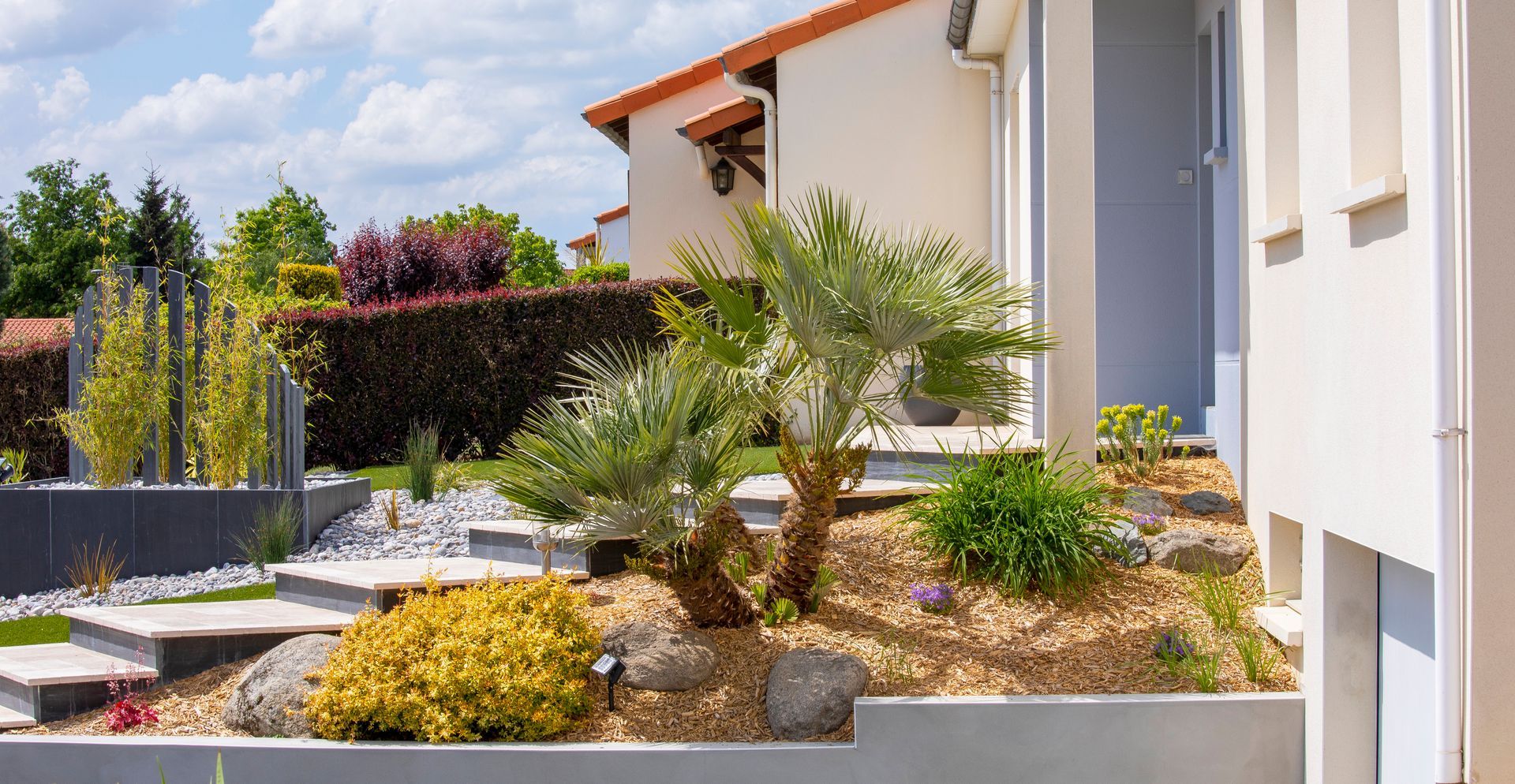 Extérieur d'une maison moderne avec jardin paysager, marches en pierre, arbustes et un arbre ressemblant à un palmier.