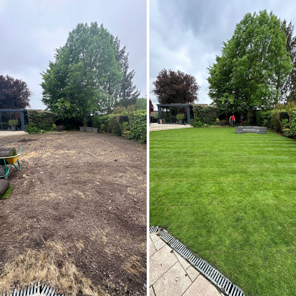 Comparaison de pelouses de jardin : avant, gazon sec et brun ; après, gazon vert luxuriant avec terrasse et arbre.