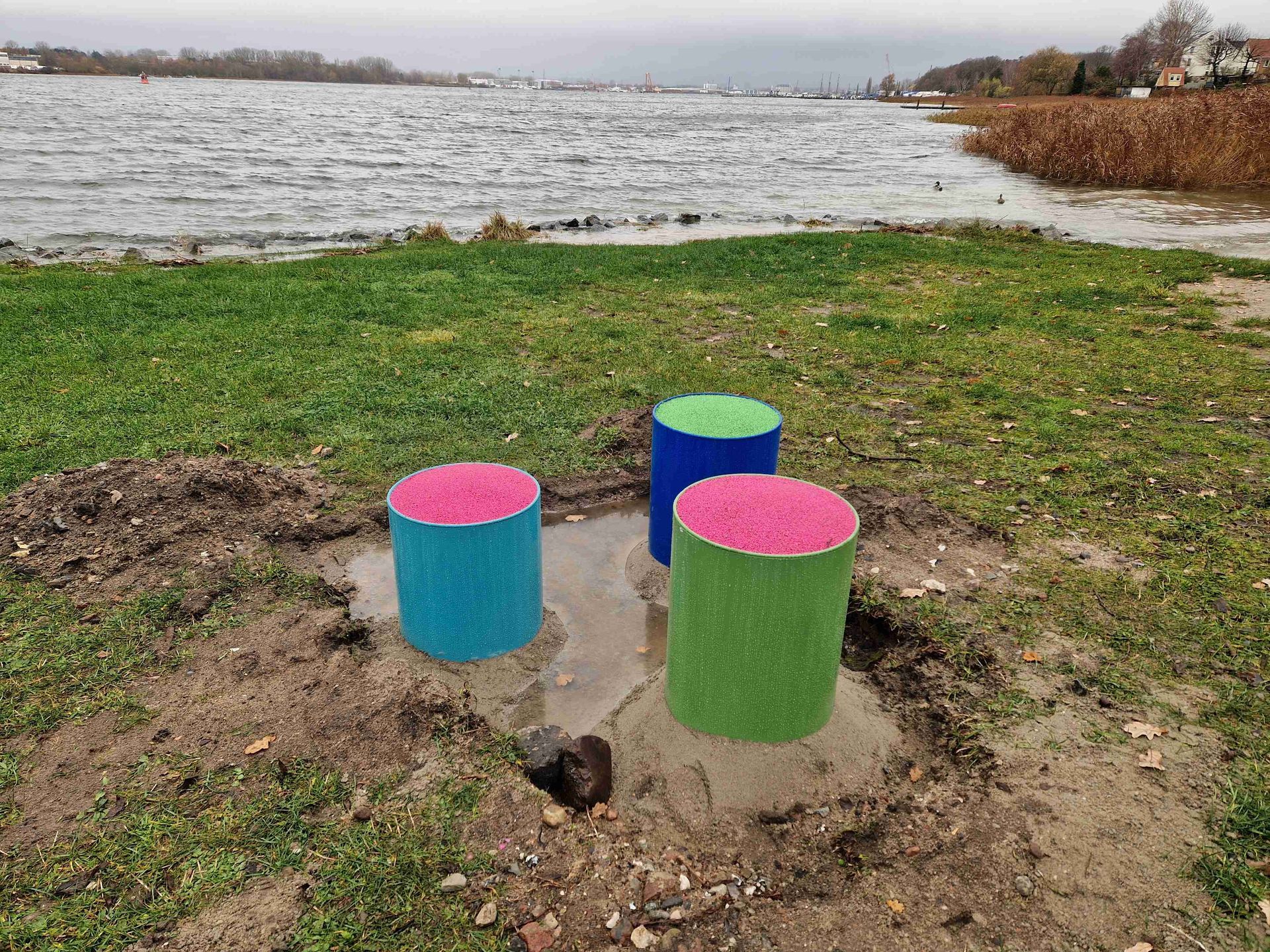 Bunte, bemalte Baumstümpfe an einem Seeufer neben schlammigem Gras und Wasser unter einem bedeckten Himmel