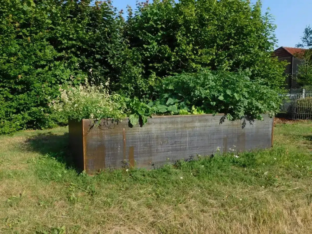 Hochbeet mit üppig grünen Pflanzen in einem sonnigen Rasengarten.