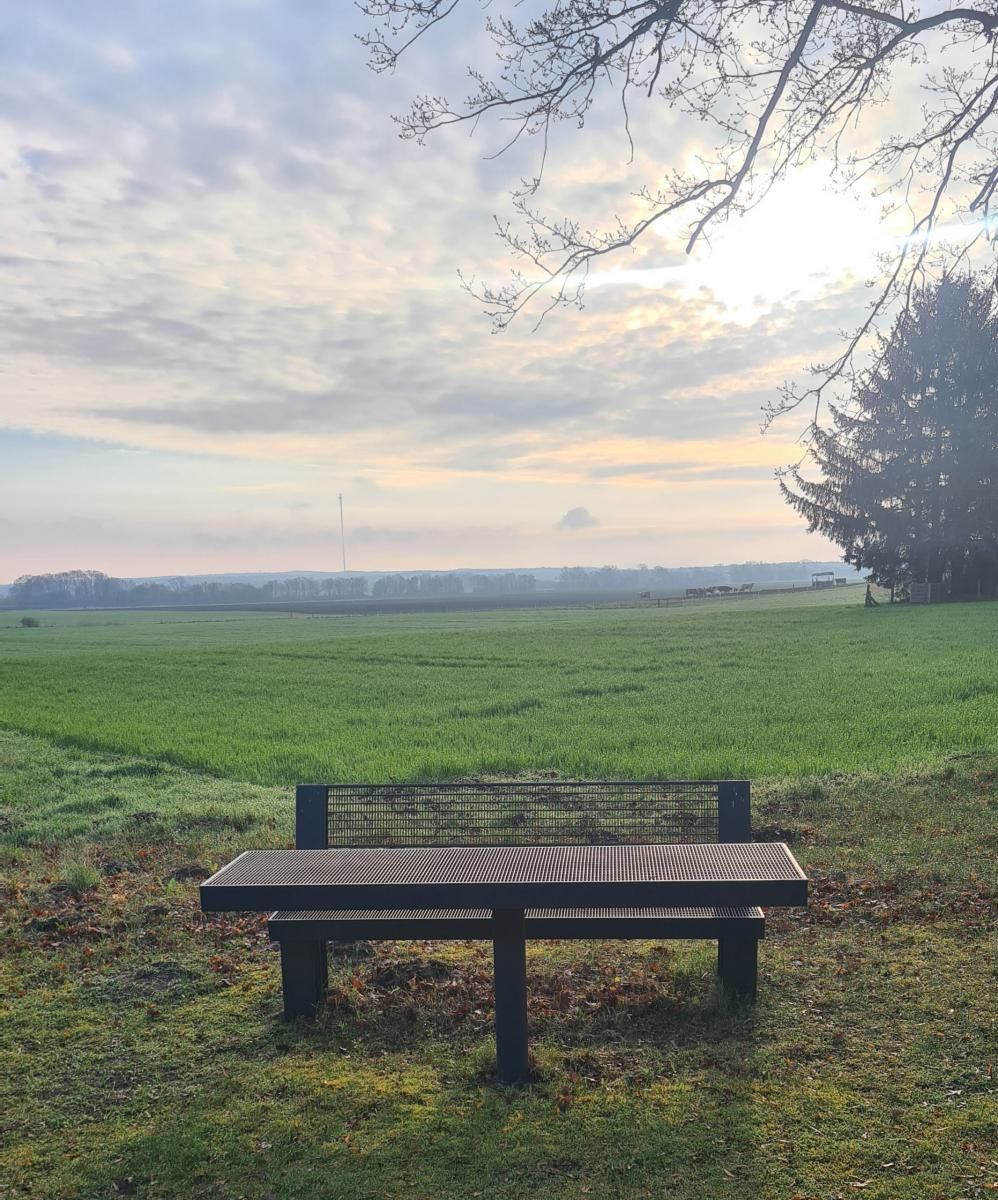 Holzbank mit Blick auf ein nebliges grünes Feld unter einem bewölkten Sonnenaufgangshimmel