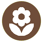 Aménagement extérieur des parcs et jardins