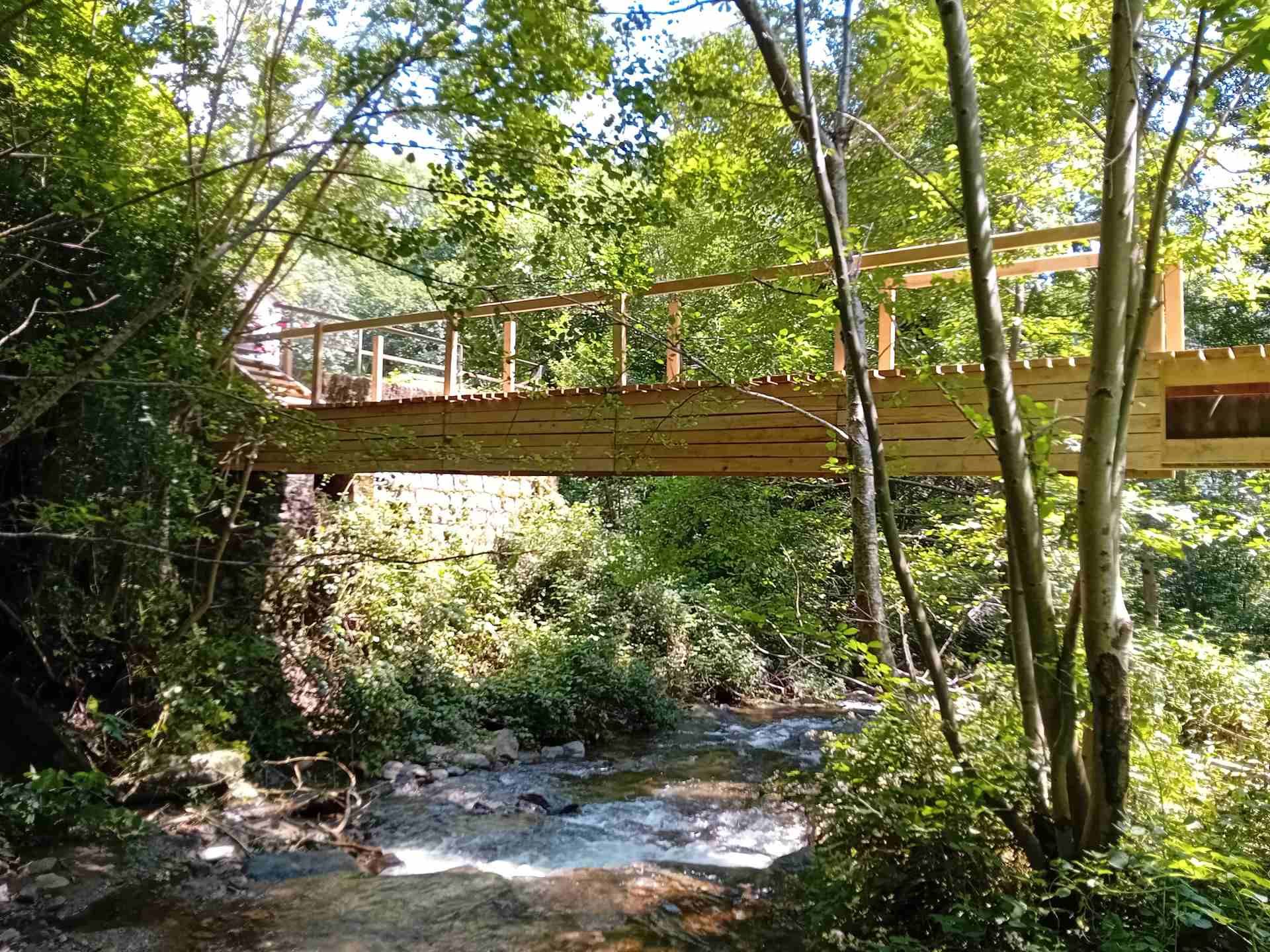 Un ponte di legno sopra un ruscello nel bosco.