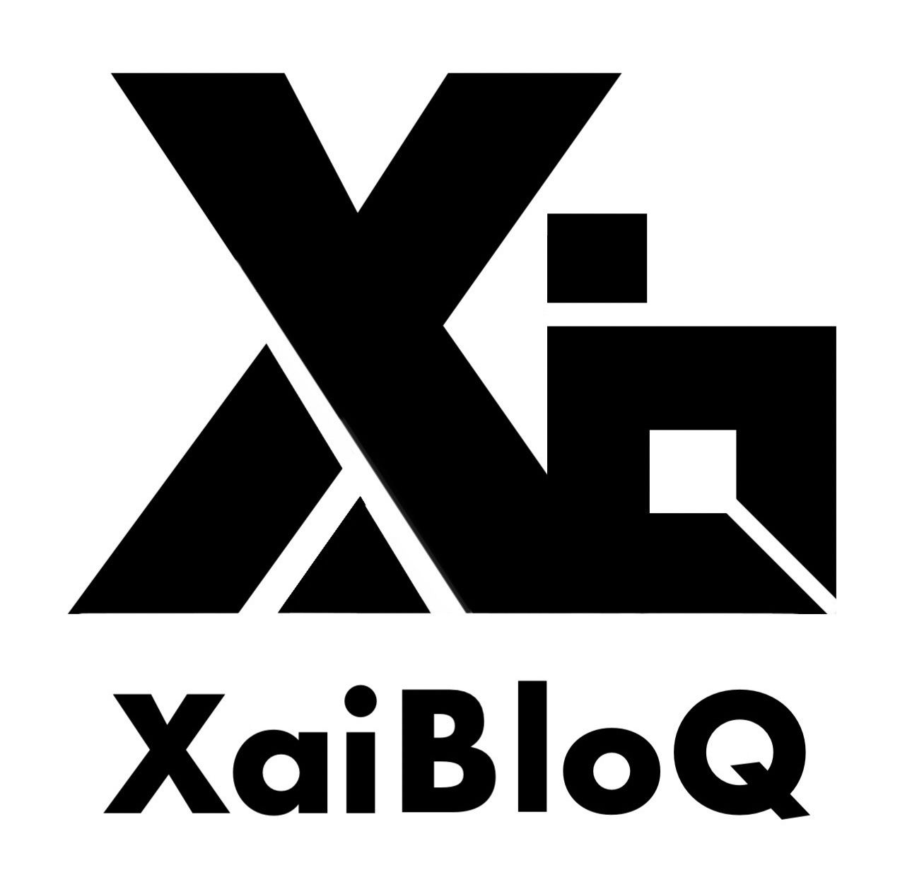 XaiBloQ Consulting