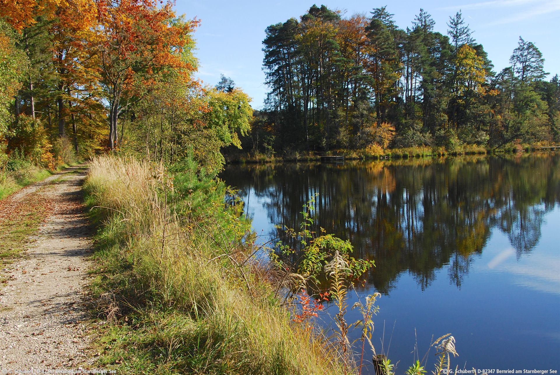Starnberger See mit Bäumen und Böschung