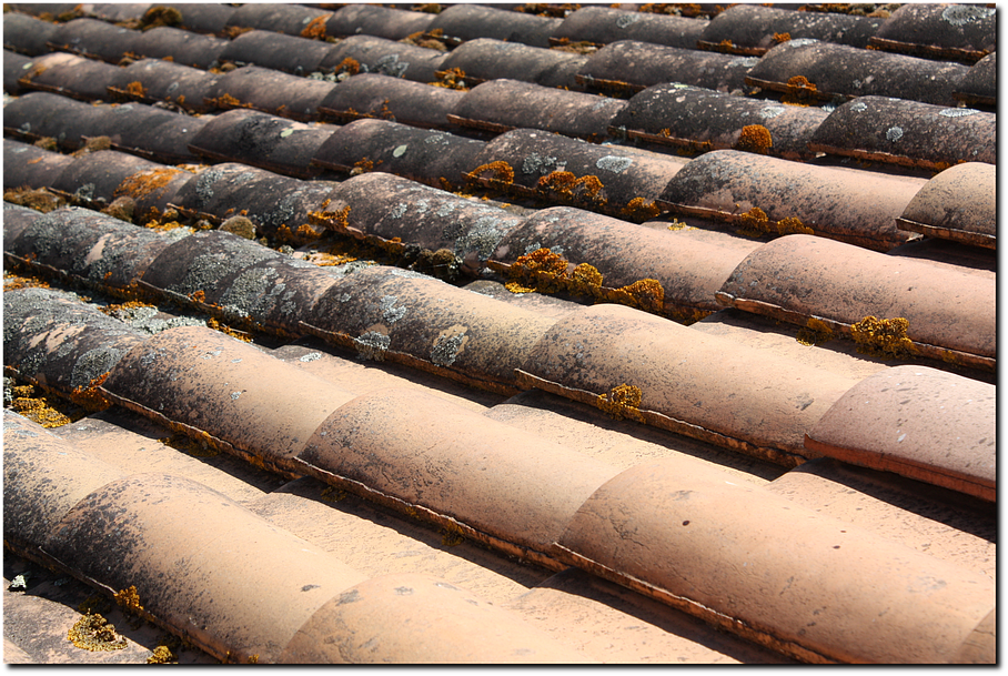 Toiture démoussée en partie