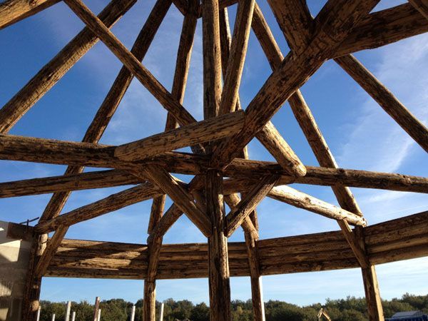 Structure en poutres de bois vue d’en dessous sur fond de ciel bleu, avec des arbres à l’arrière-plan