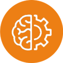 Icon Orange