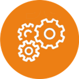 Icon Orange