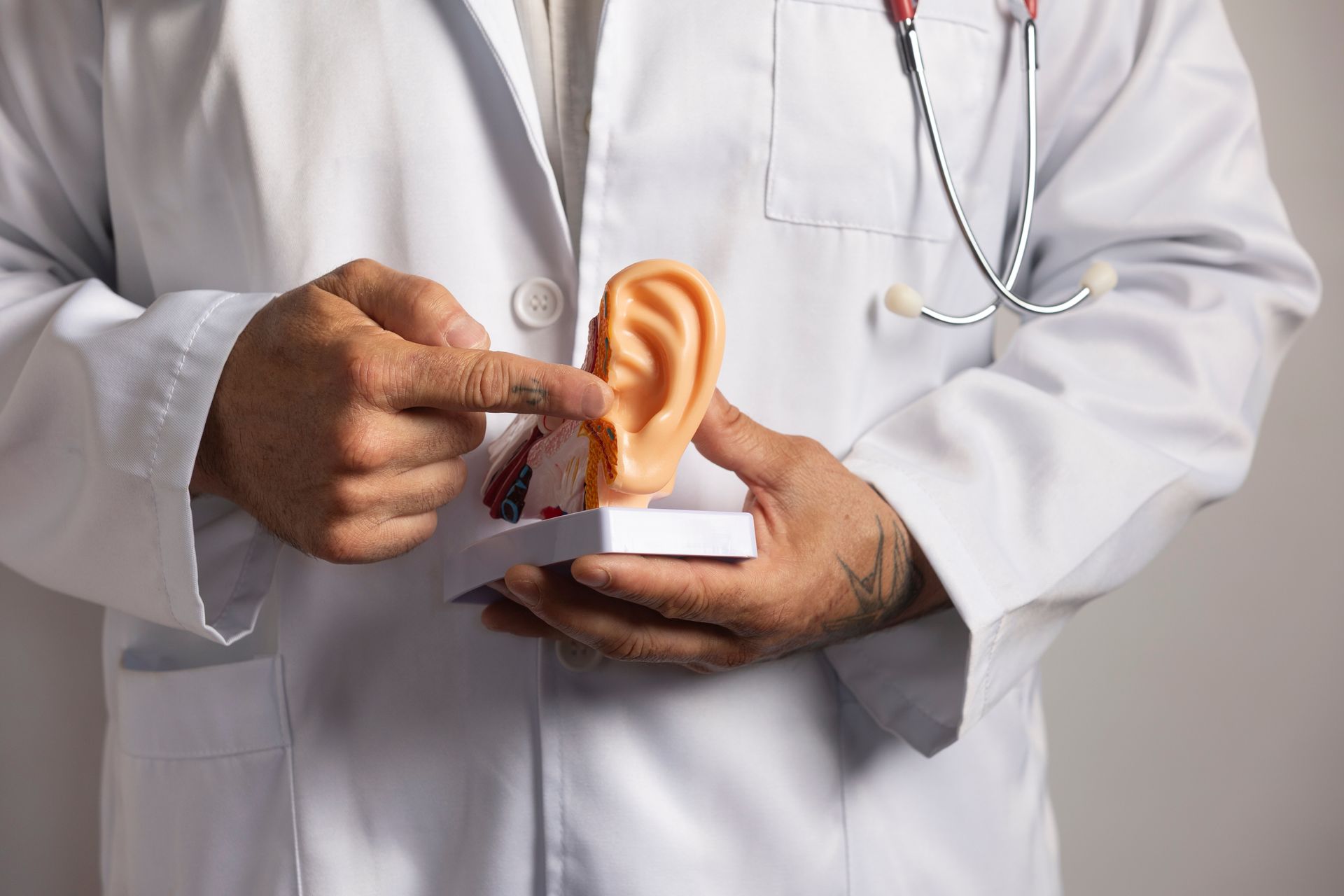 Un médecin, vêtu d'une blouse blanche et portant un stéthoscope, désigne un modèle d'oreille.