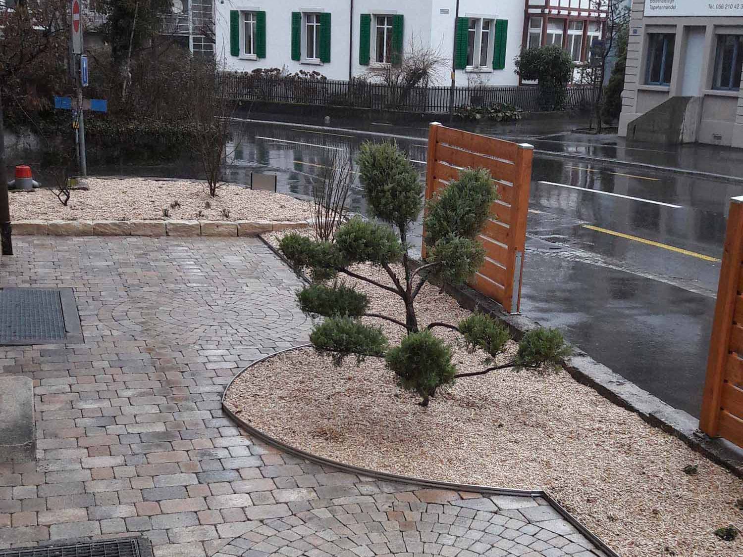 Schnitt Baum | Gärtner Widmer | Gartenpflege, Gartenbau, Gartenunterhalt, Landschaftsgärtner | Würenlingen