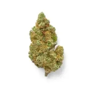 Brote de cannabis verde y naranja sobre fondo blanco.