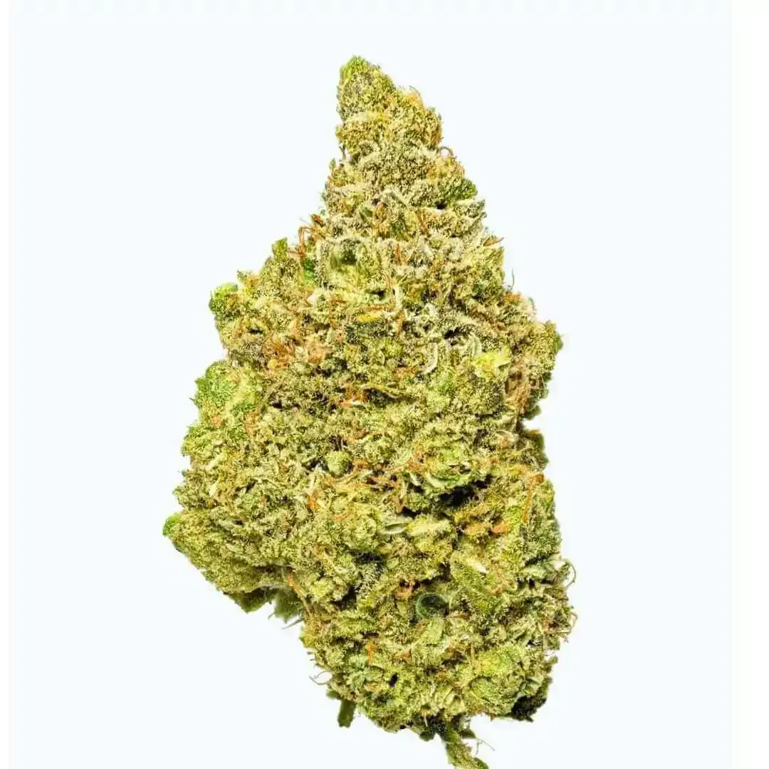 Primer plano de un cogollo de cannabis denso y verde, con tricomas visibles, sobre un fondo blanco.