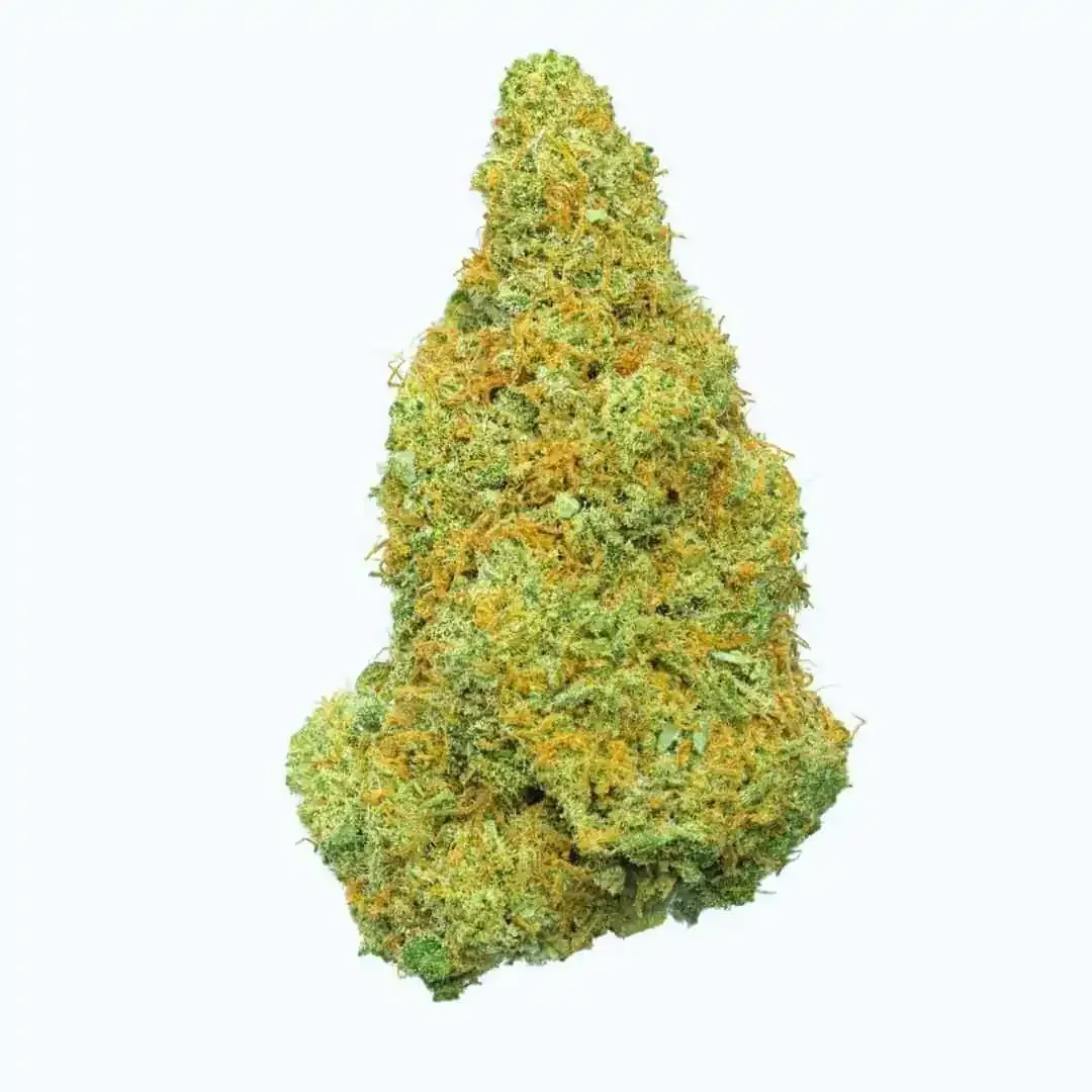 Un cogollo de cannabis denso, de color verde claro, con pelos anaranjados sobre un fondo blanco.