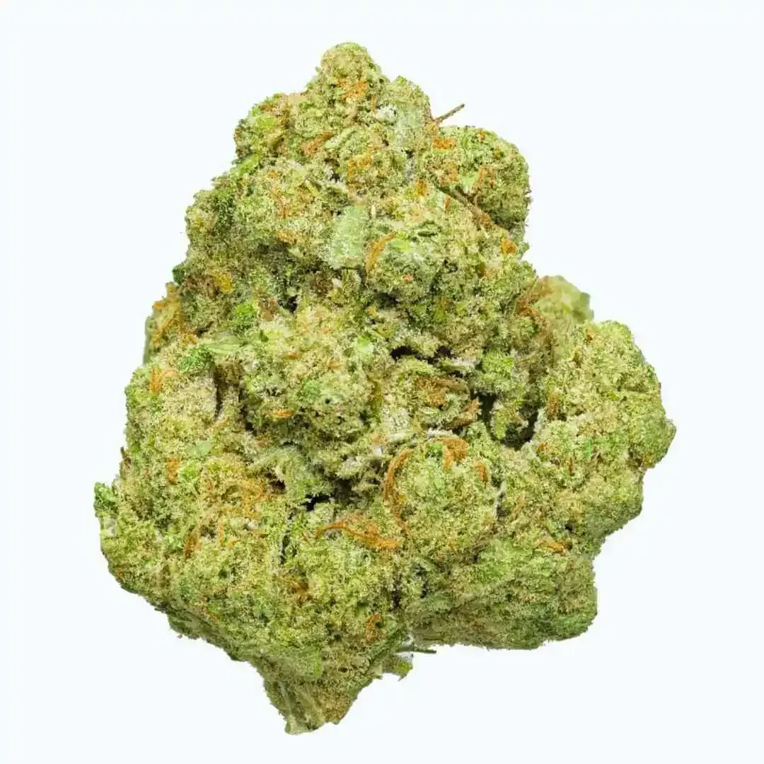 Brote de cannabis verde y naranja sobre un fondo blanco.