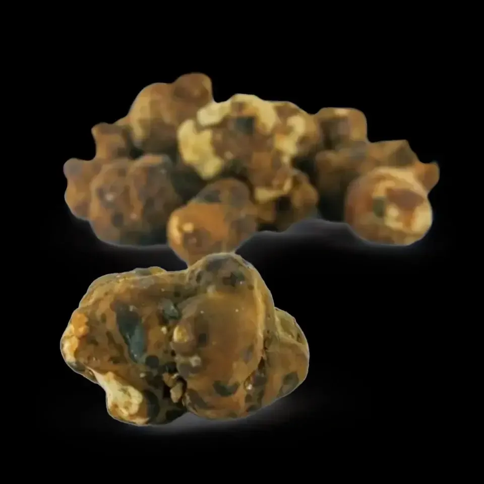 Trufas marrones y canela, vista de cerca. Formas irregulares y texturizadas sobre fondo negro.