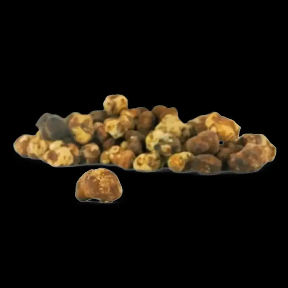 Montón de trufas de color marrón claro y tostado, una trufa delante de la pila sobre un fondo negro.