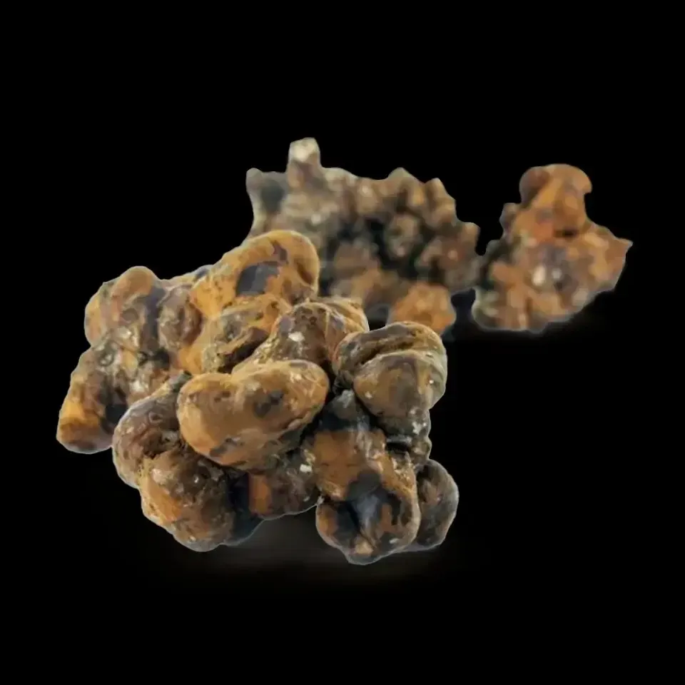 Formación rocosa marrón y irregular con manchas oscuras sobre un fondo negro.