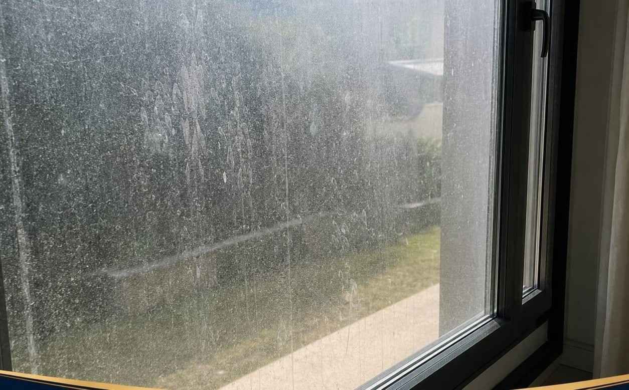 Ventana cubierta de gotas de lluvia con vistas a un sendero soleado y vegetación