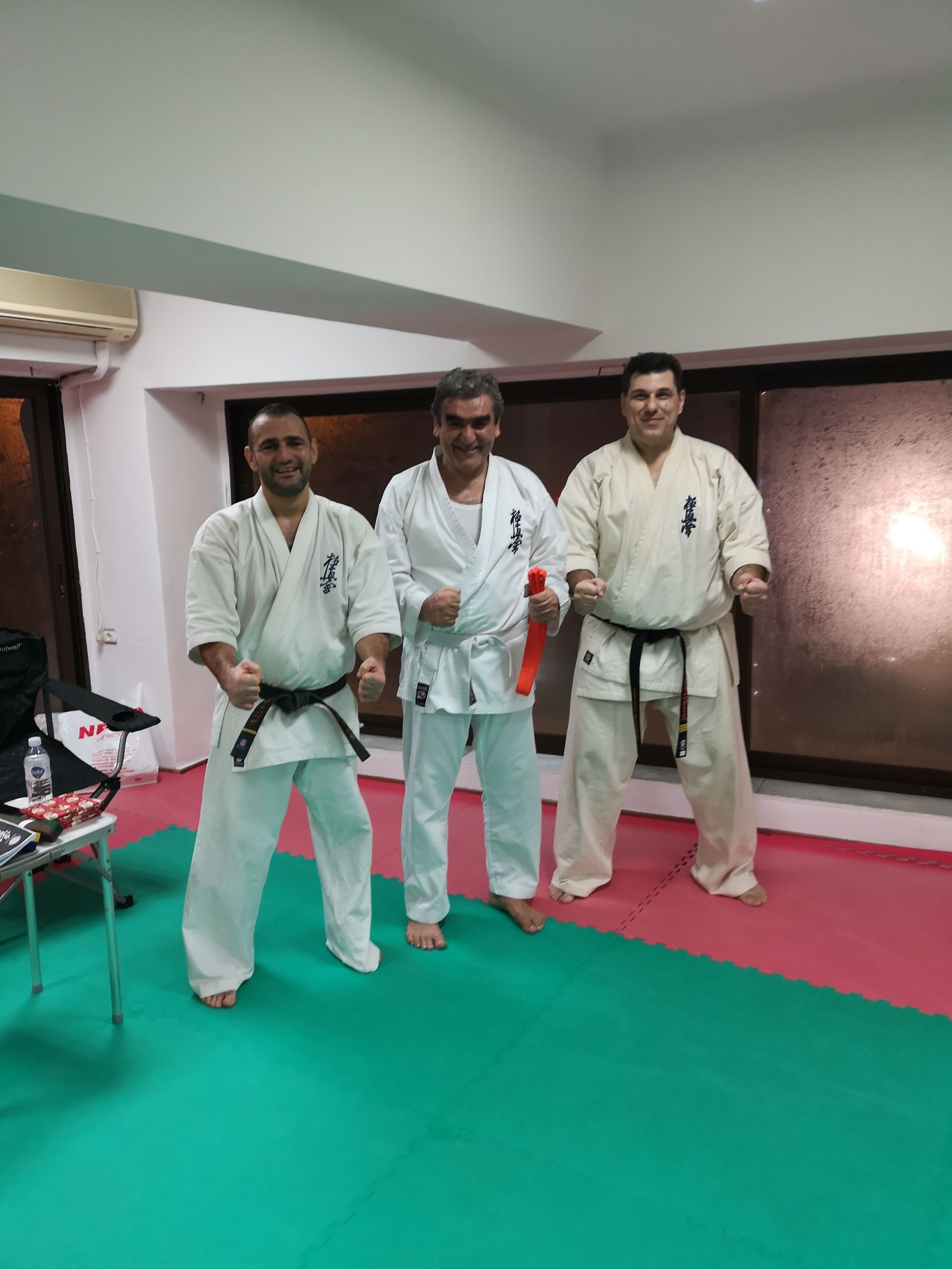 Hellas Tezuka Kyokushin Kyu Exams