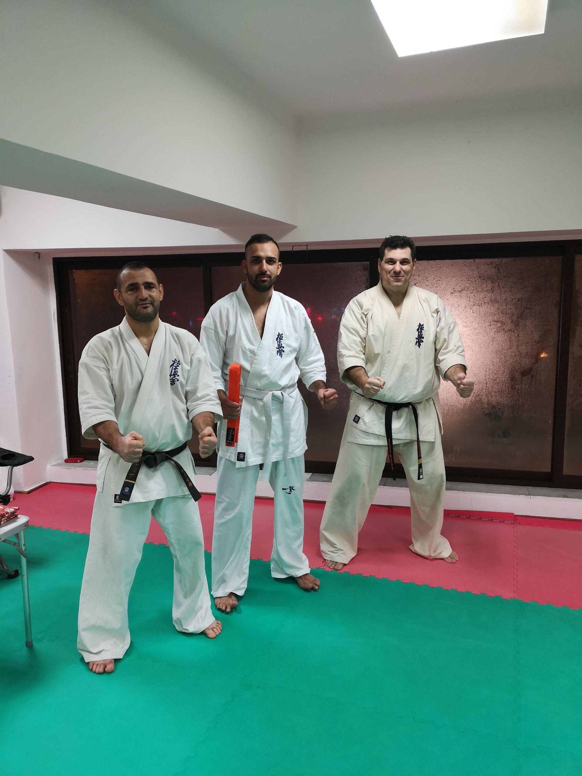 Hellas Tezuka Kyokushin Kyu Exams