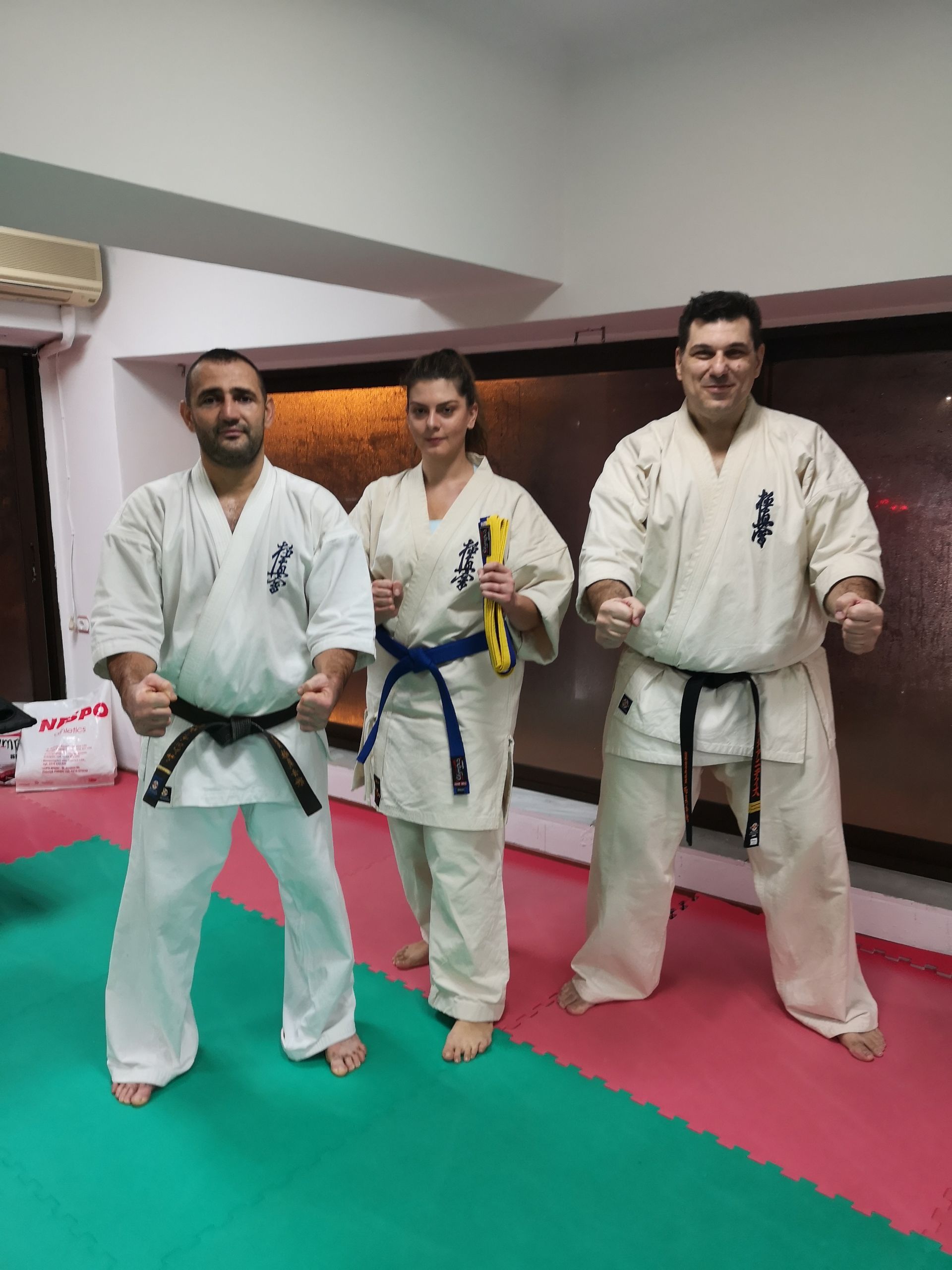 Hellas Tezuka Kyokushin Kyu Exams