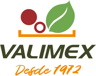 Logotipo de Valimex con iconos de frutas y hojas encima, texto "VALIMEX" y "Desde 1972" en verde y naranja.