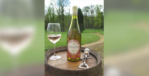 Les blancs - Les Vignerons du Toulois à Mont-le-Vignoble - Vente directe de vins