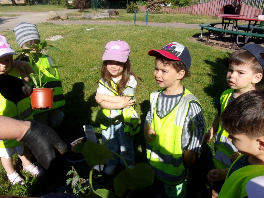 Gärtnern mit Kinder