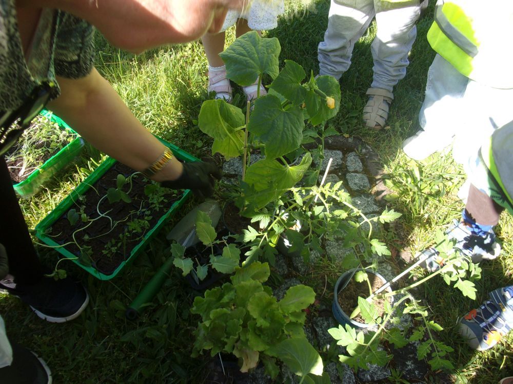 Gärtnern mit Kinder
